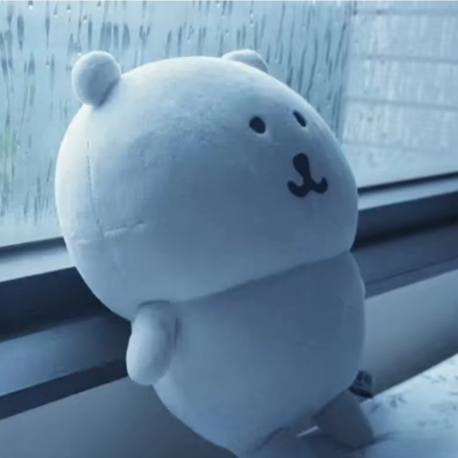 听歌的猫