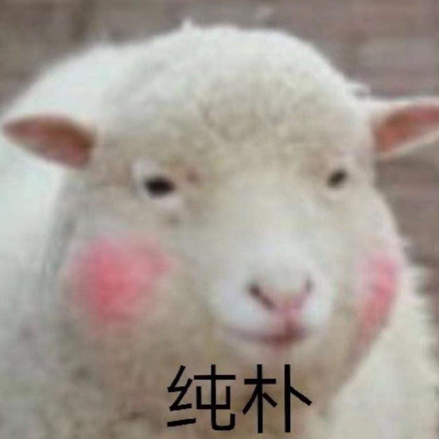薄荷糖