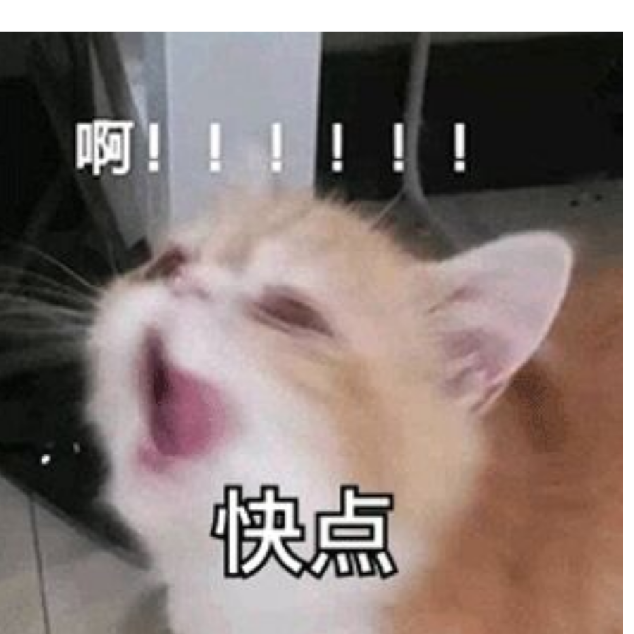 爱游戏的老喵