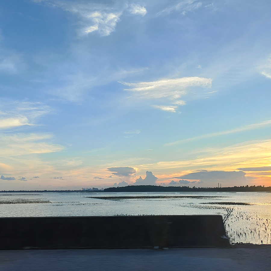 脱缰的灬小泰迪