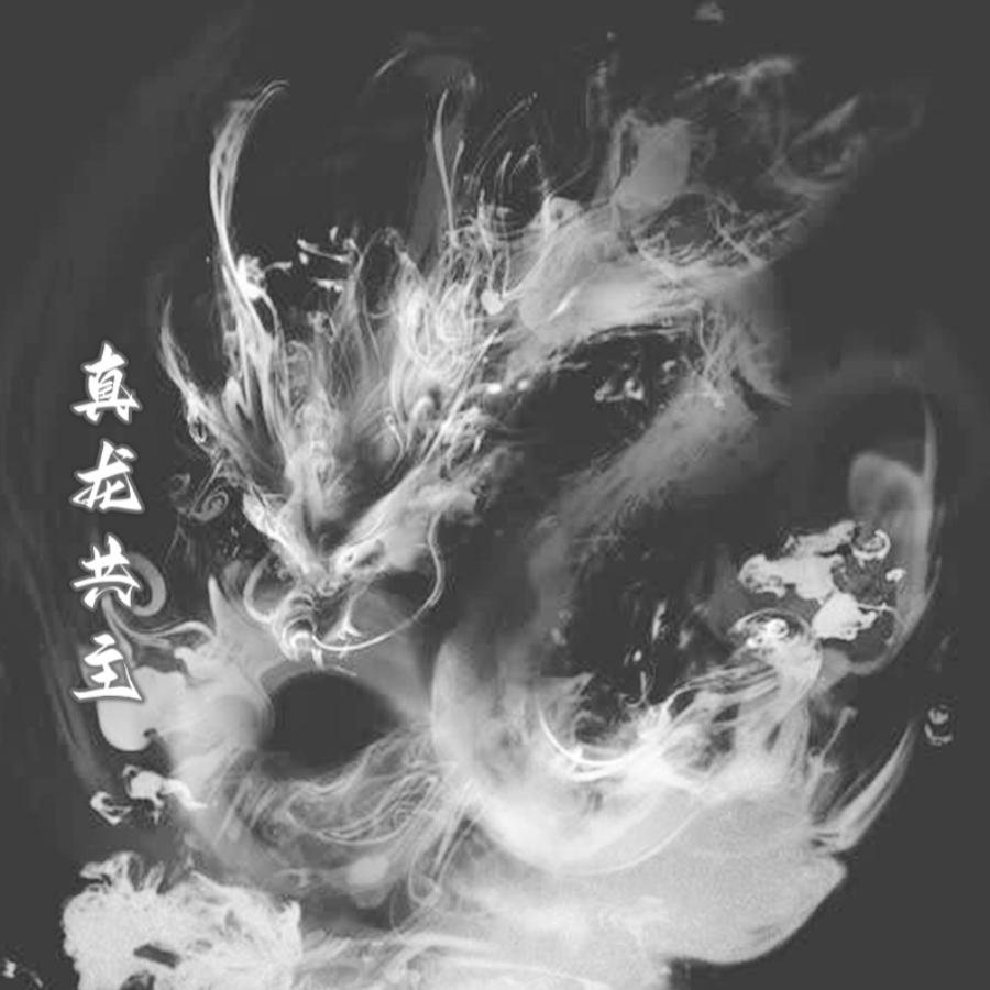 龍門宗主~龙寻道君