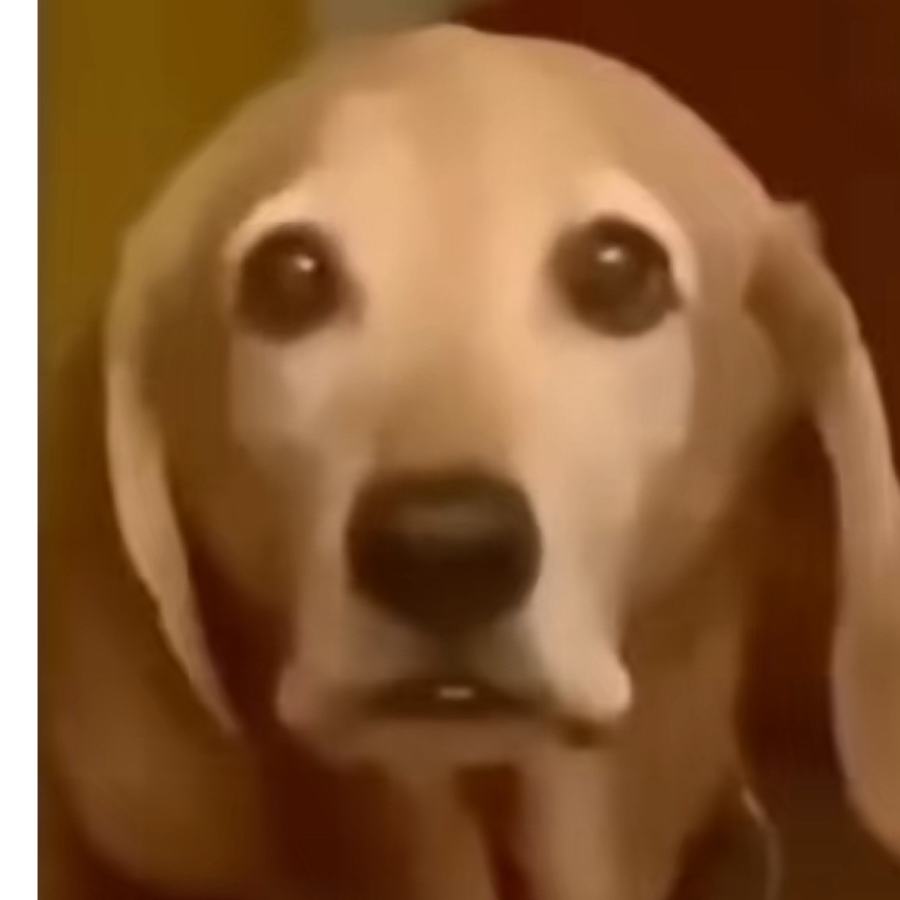 张嘴嘴