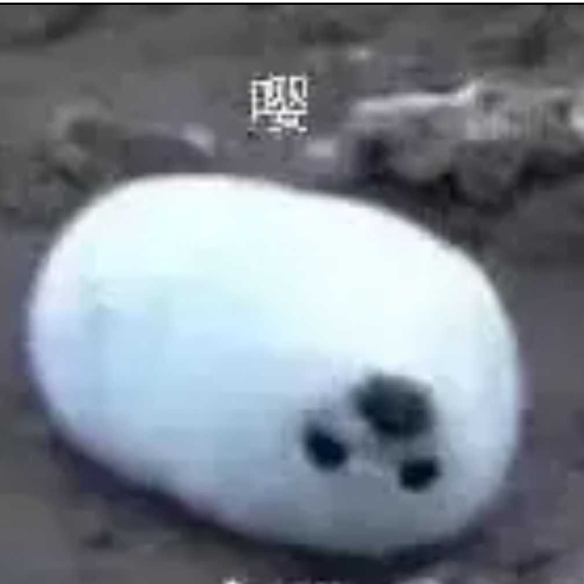 卖谱尼的玉米