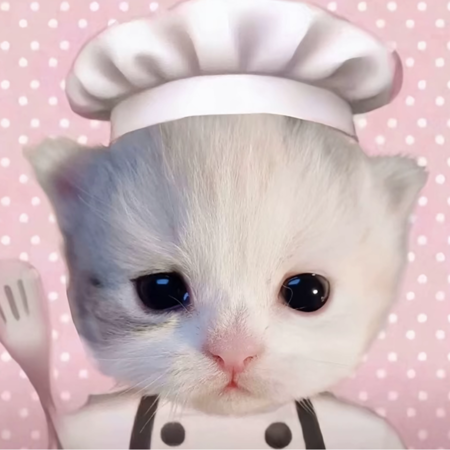 我素猫緣
