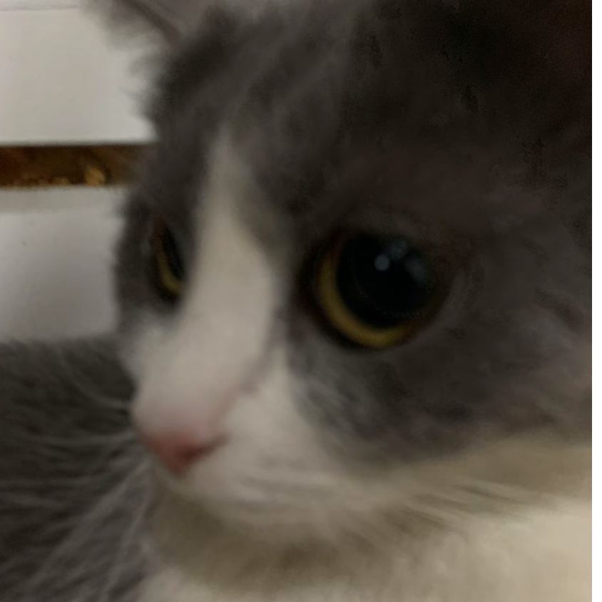 nekohell