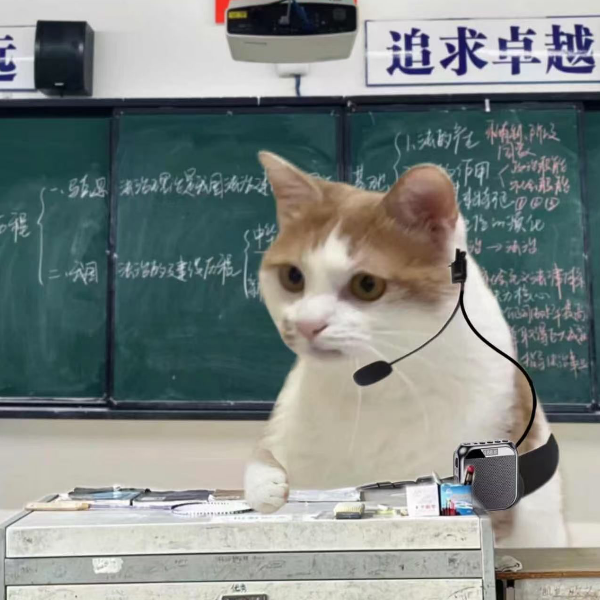 夏禾.