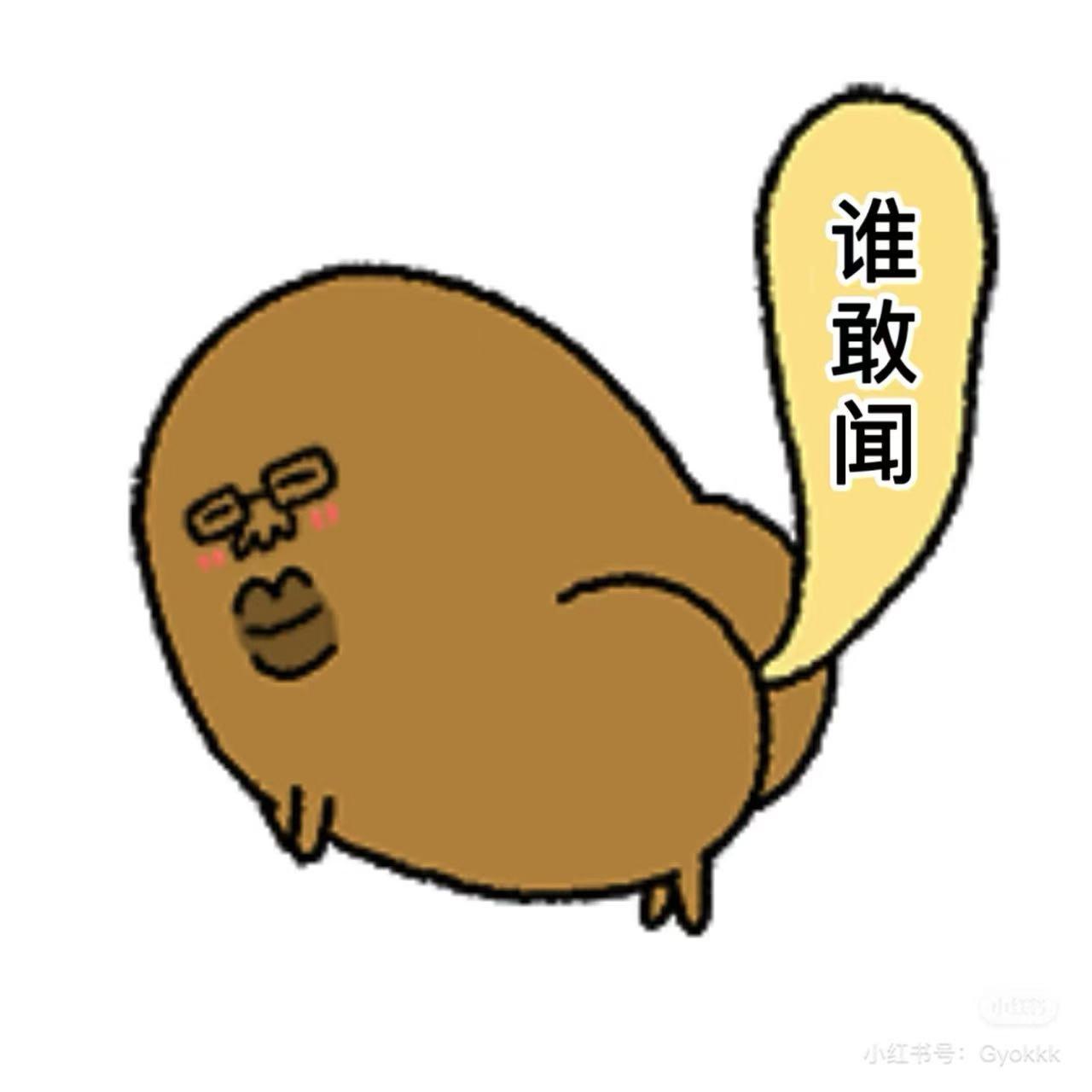 土豆
