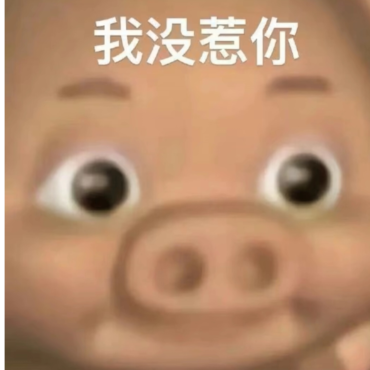 许诚√