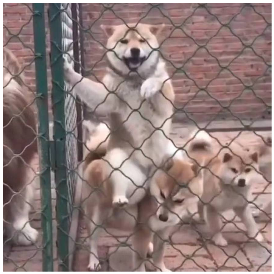 心地善良李二狗