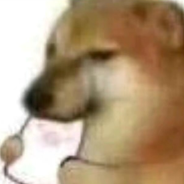 ε(*･ω･)_/ﾟ:･☆