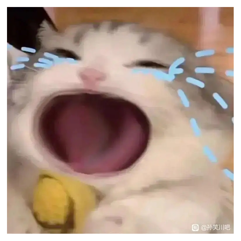 谁家的宝呀