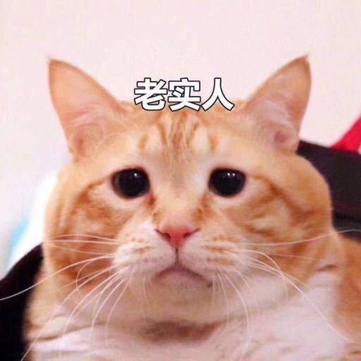 橘猫克鲁苏