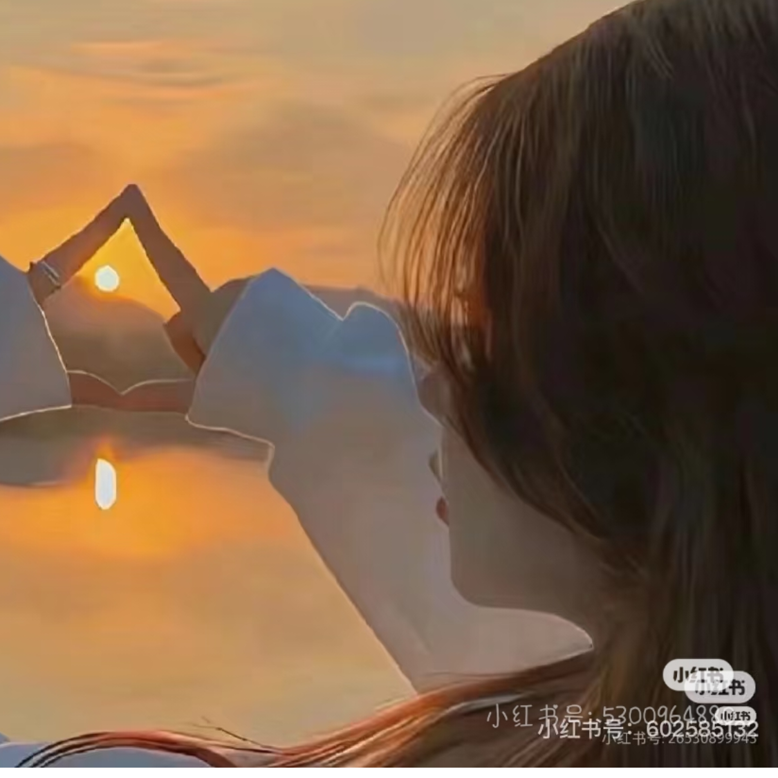 白洛