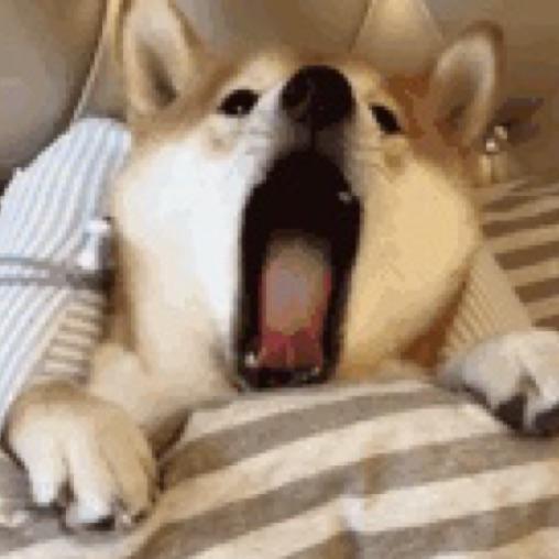 万事俱备