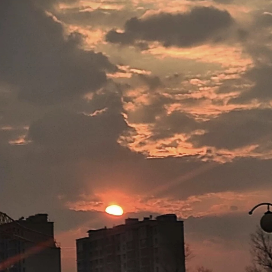 凛冬