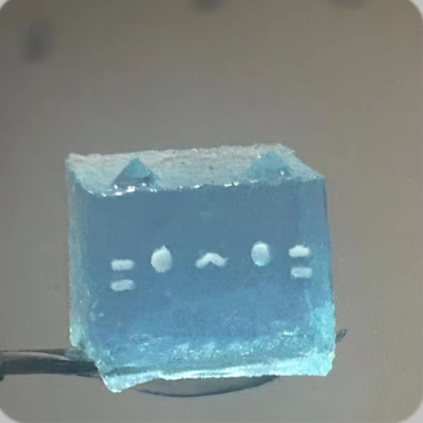 奈沐沐