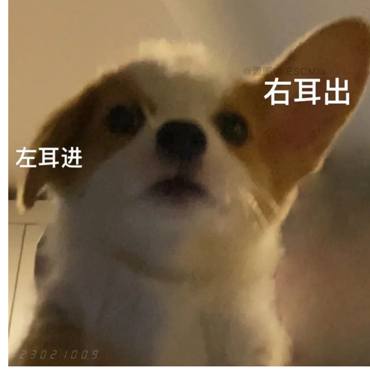 我心匪石，不可转也