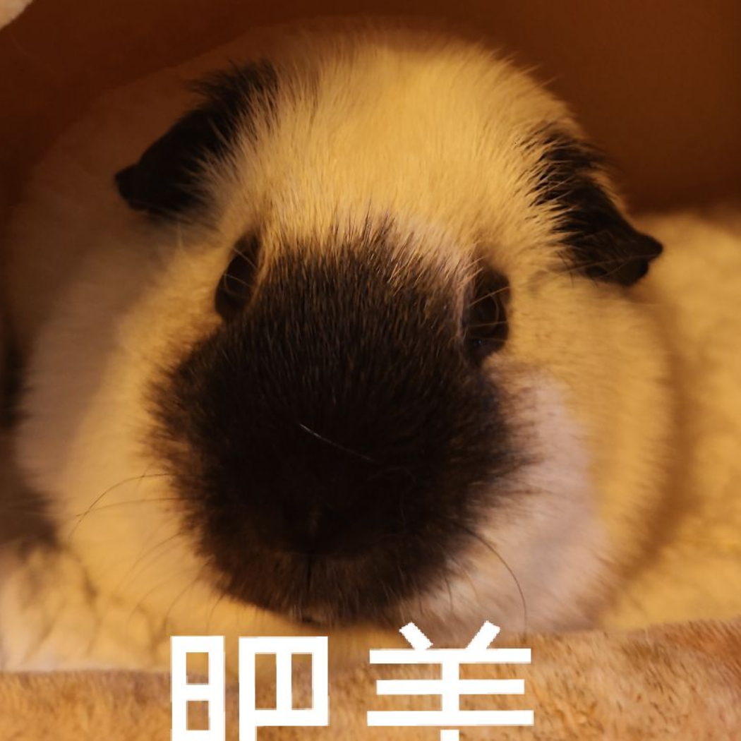 开心钵钵鸡