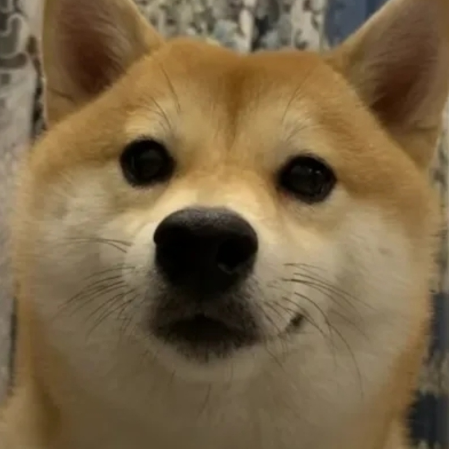 饭团