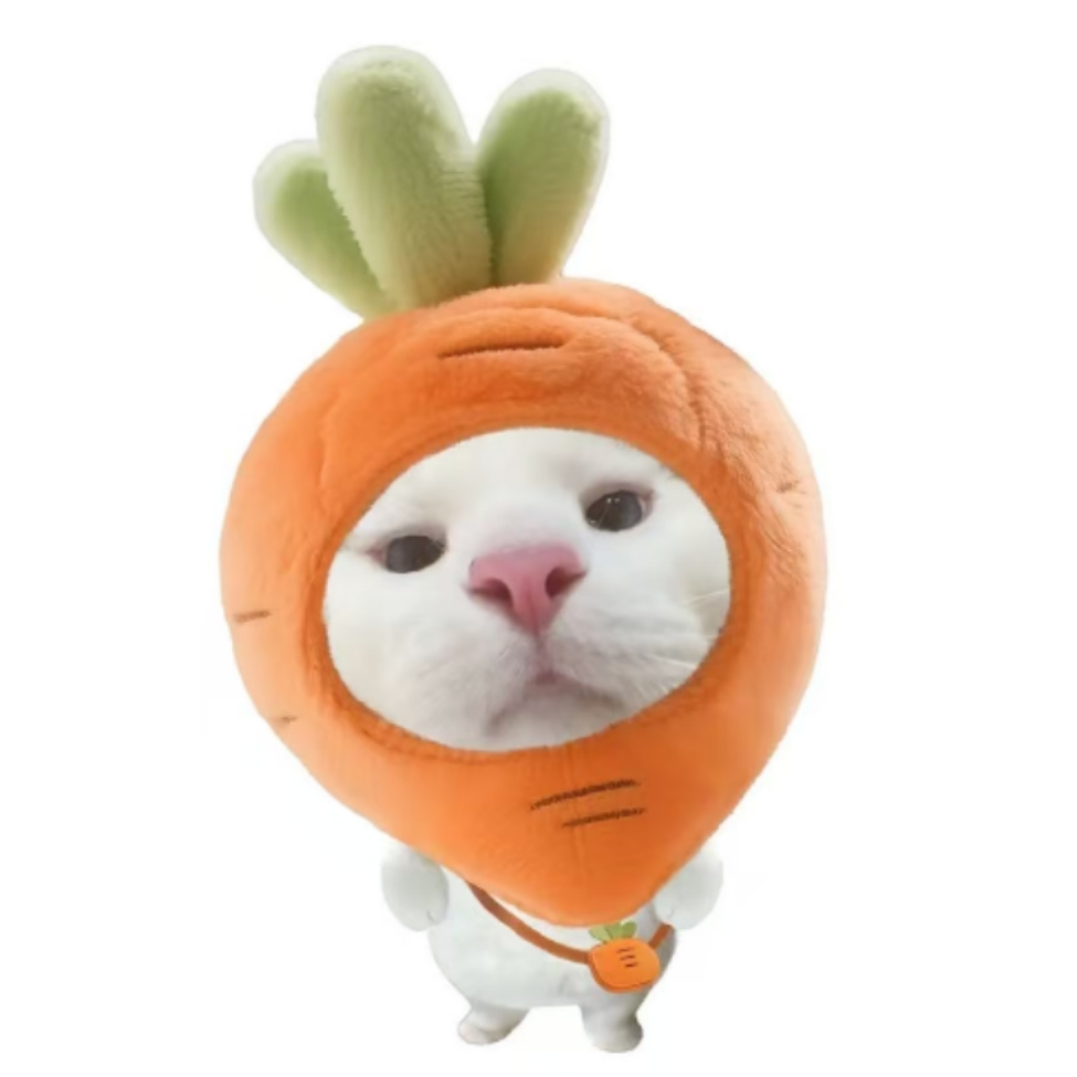 唇镜天