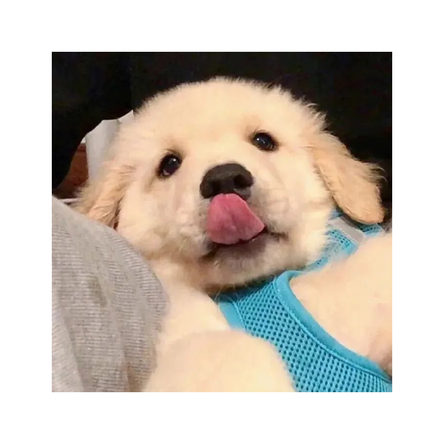 可乐乐的妈咪
