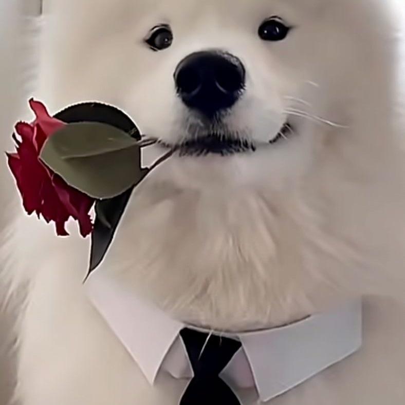 ：