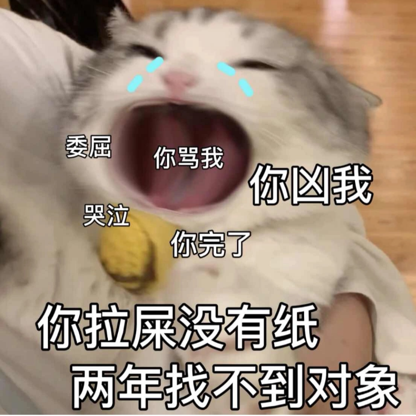 阿贝多