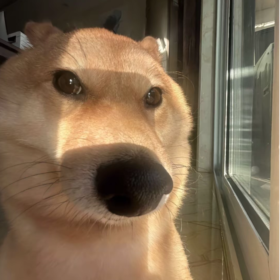 波啊么波哦哦