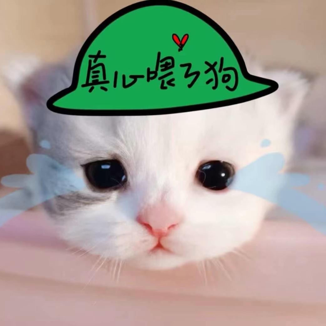 窝萌佳佳