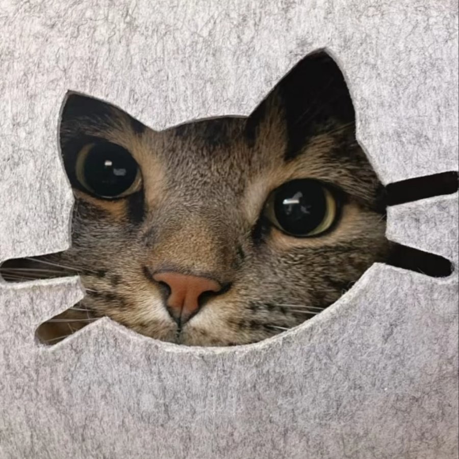 别闹~