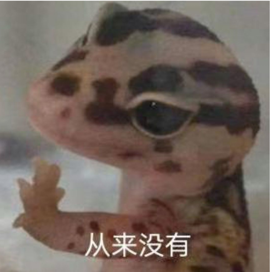 没人能拒绝我龙傲天