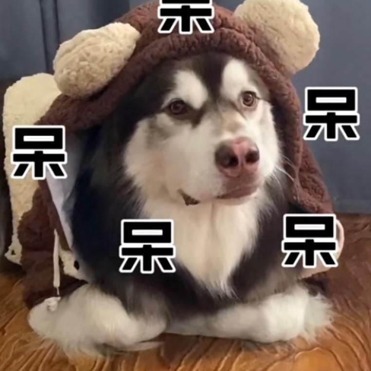 跨星弧去寻你