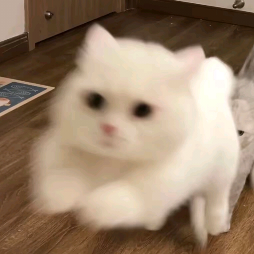 谦屿千洵