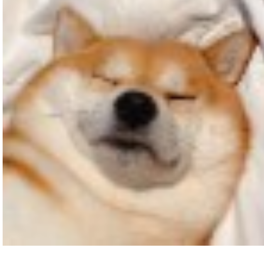 佳凉凉