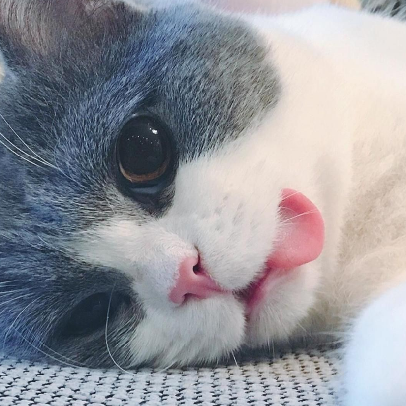 一盏清茶半壶酒