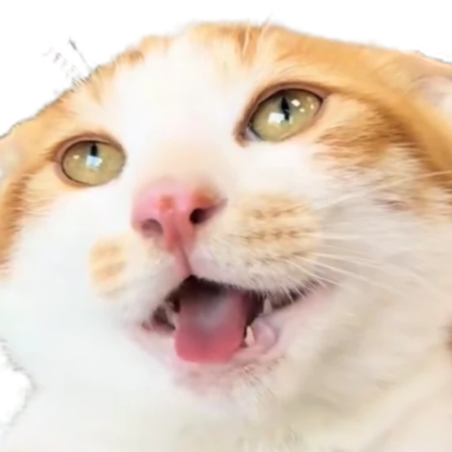 纯洁