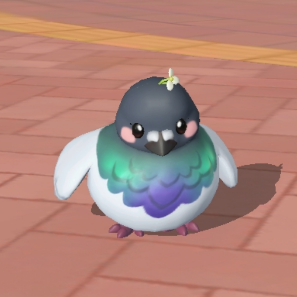 以闪账号是这个