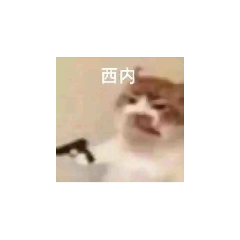 两面包夹芝士