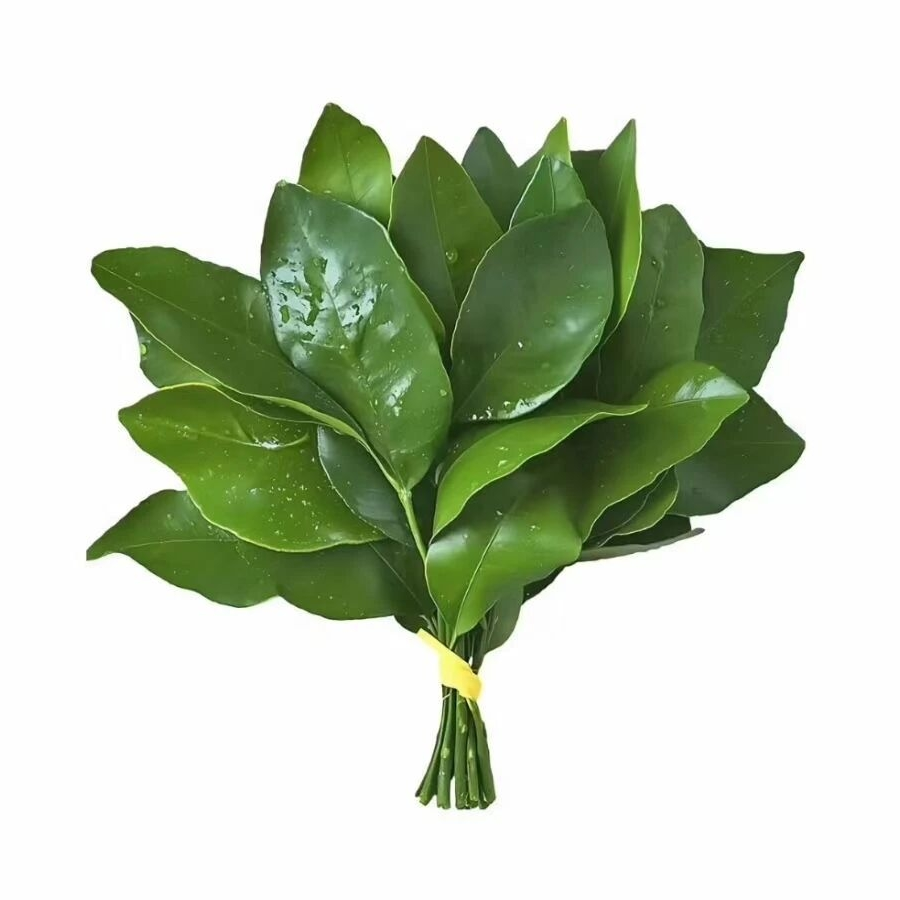 芝士