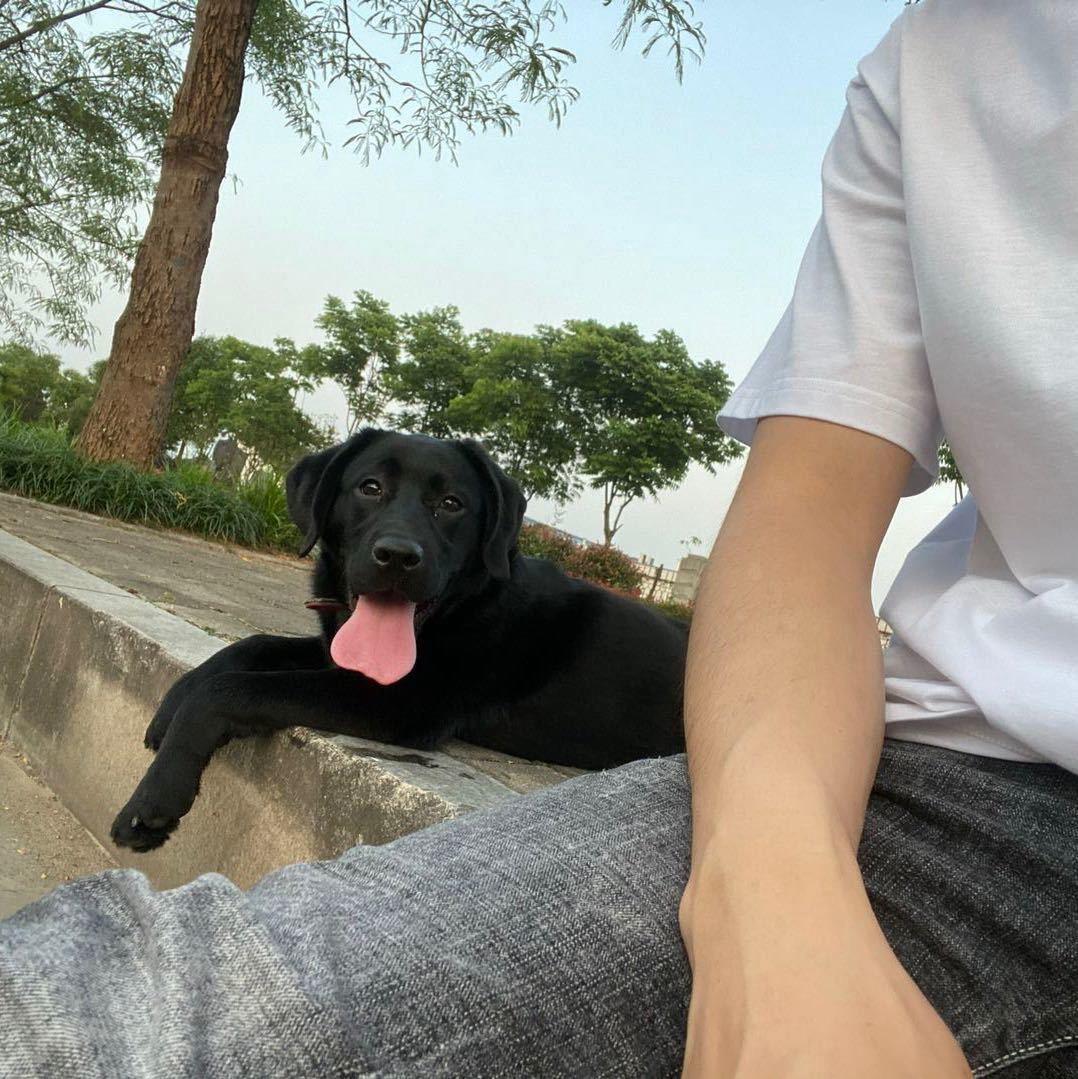 灰烬好玩爱玩