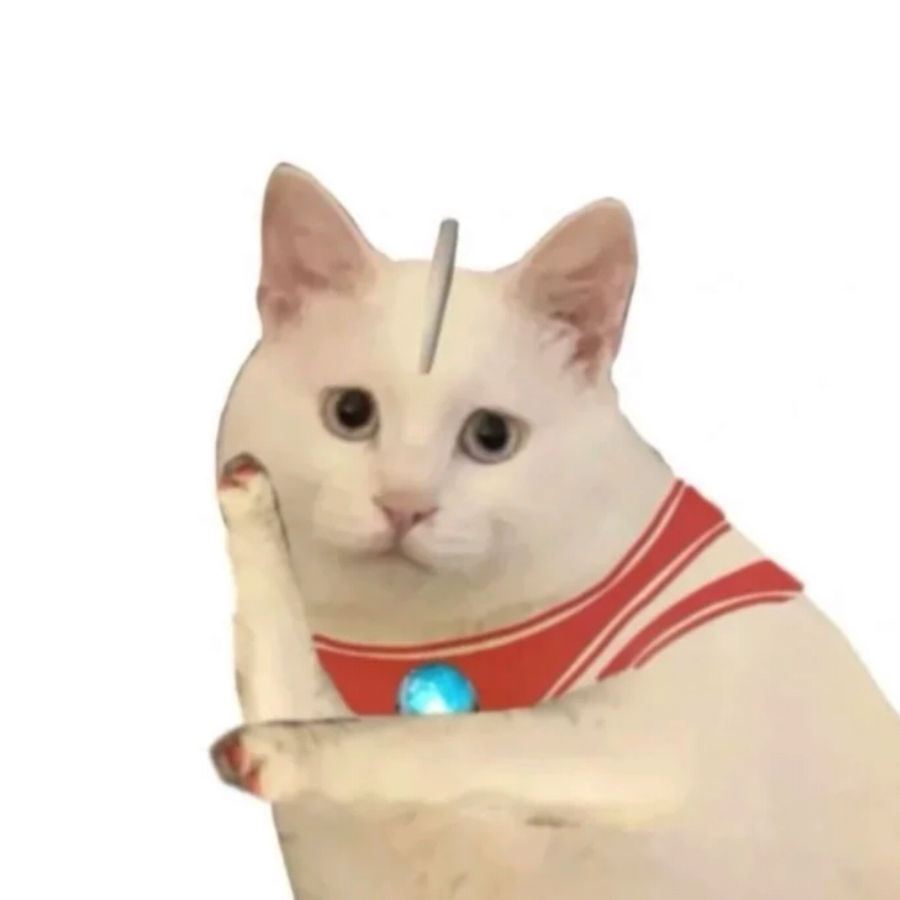 糕糕