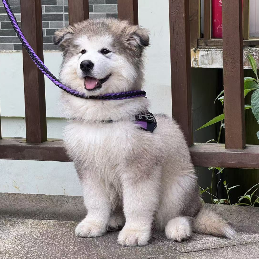 。。。。，，，