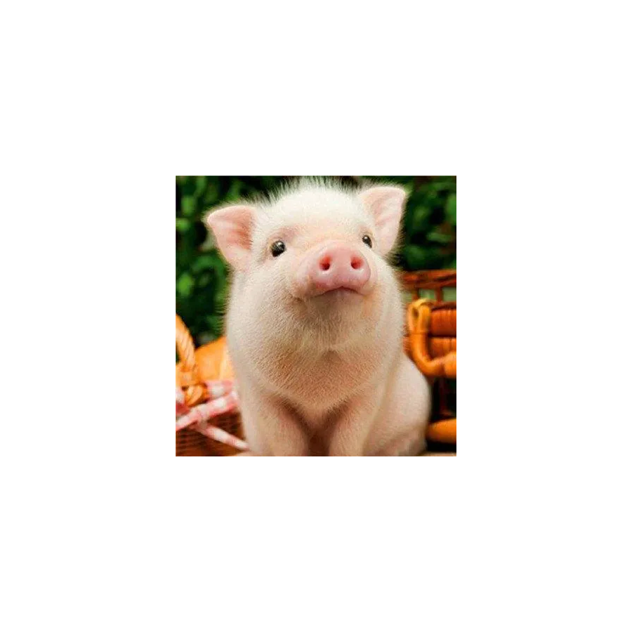 手机用户83601578