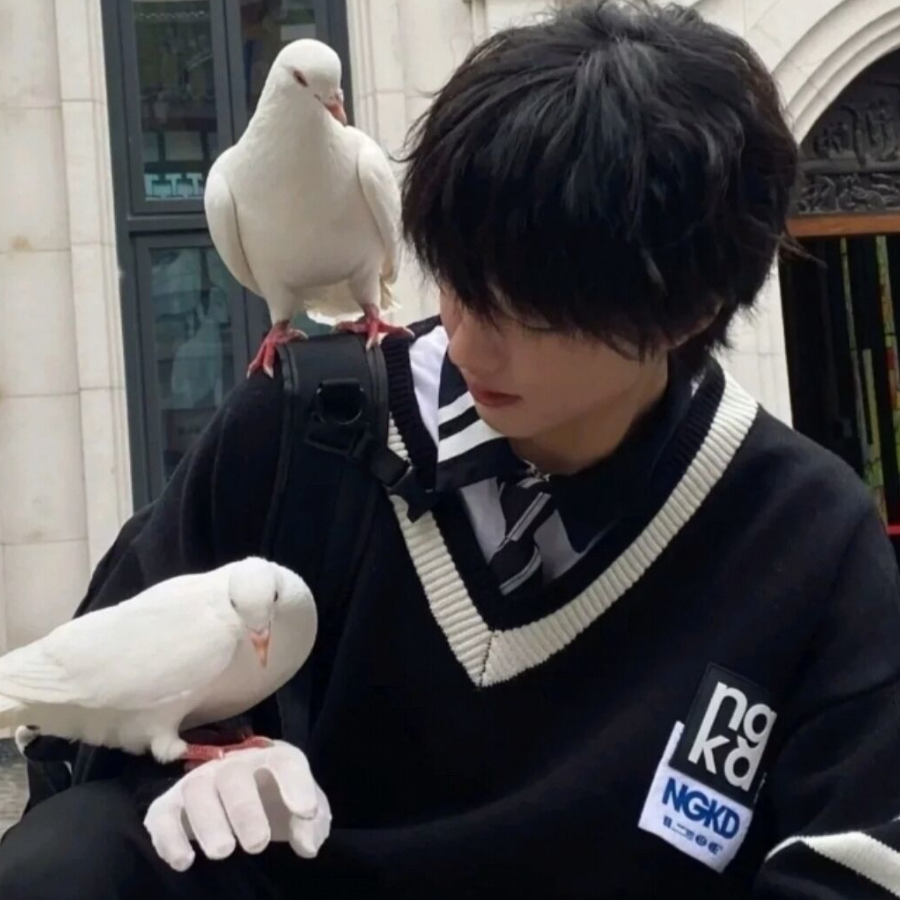 奕辰