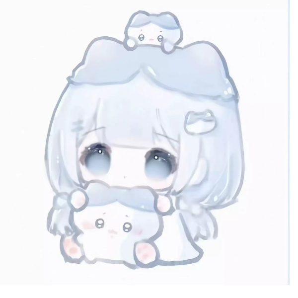 kiku 小卷¹
