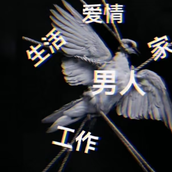 哥的世界你不懂