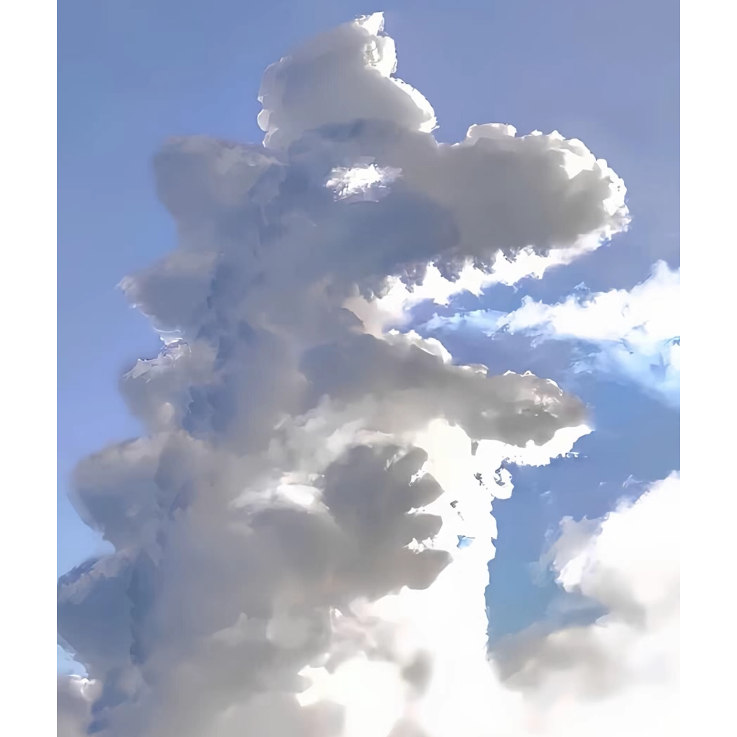 豆豆