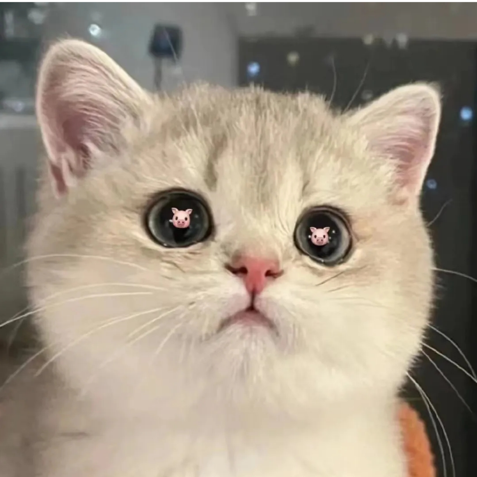 晴晴很可爱~