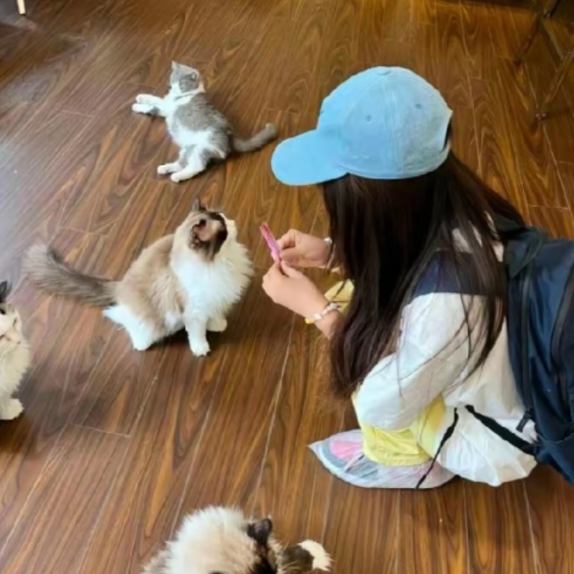 土豆炖芒果^