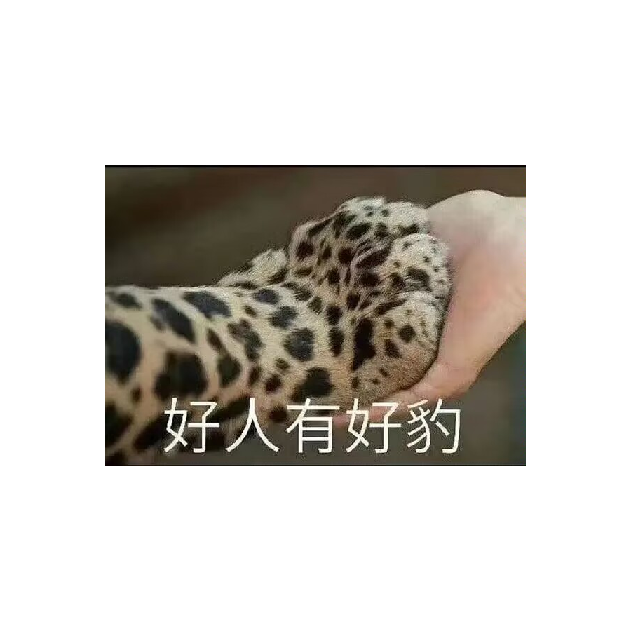 景
